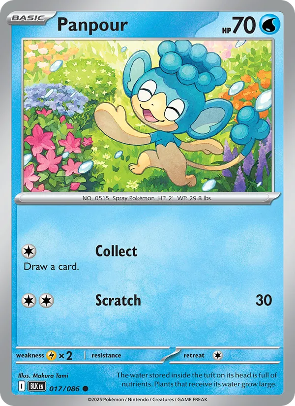 Panpour - Black Bolt Pokemon Card