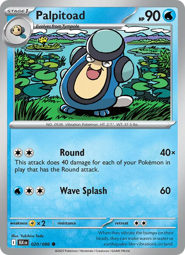 Palpitoad - Black Bolt Pokemon Card