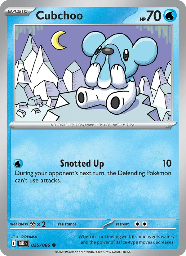 Cubchoo - Black Bolt Pokemon Card