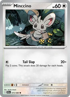 Minccino - Black Bolt