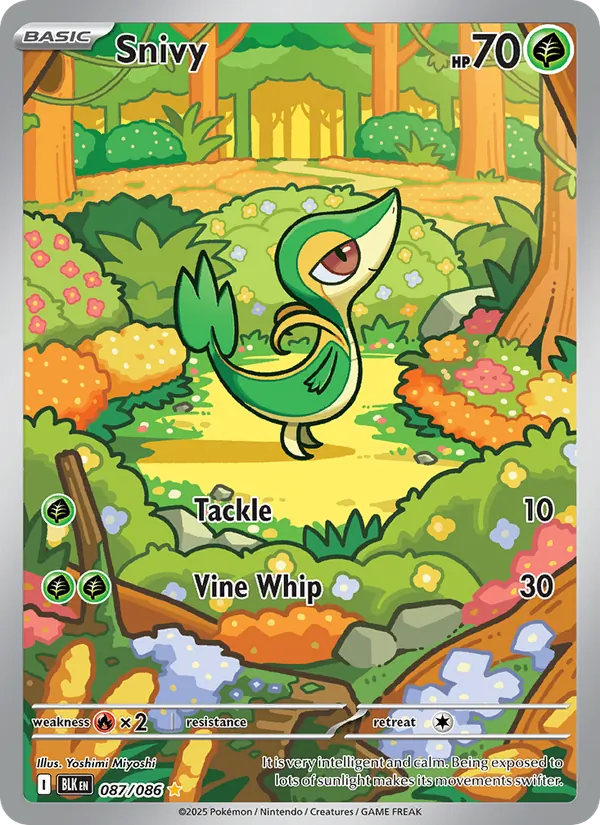 Snivy - Black Bolt Pokemon Card