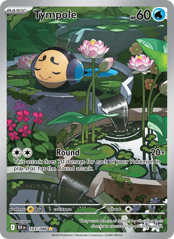 Tympole - Black Bolt Pokemon Card