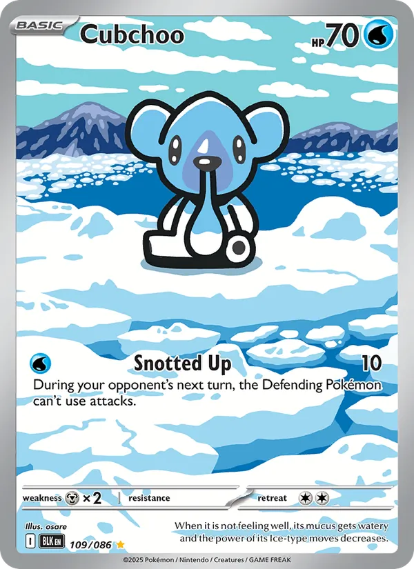 Cubchoo - Black Bolt Pokemon Card