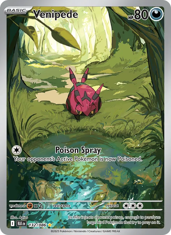 Venipede - Black Bolt Pokemon Card