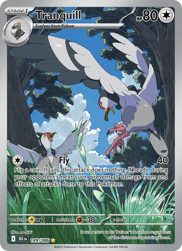 Tranquill - Black Bolt Pokemon Card