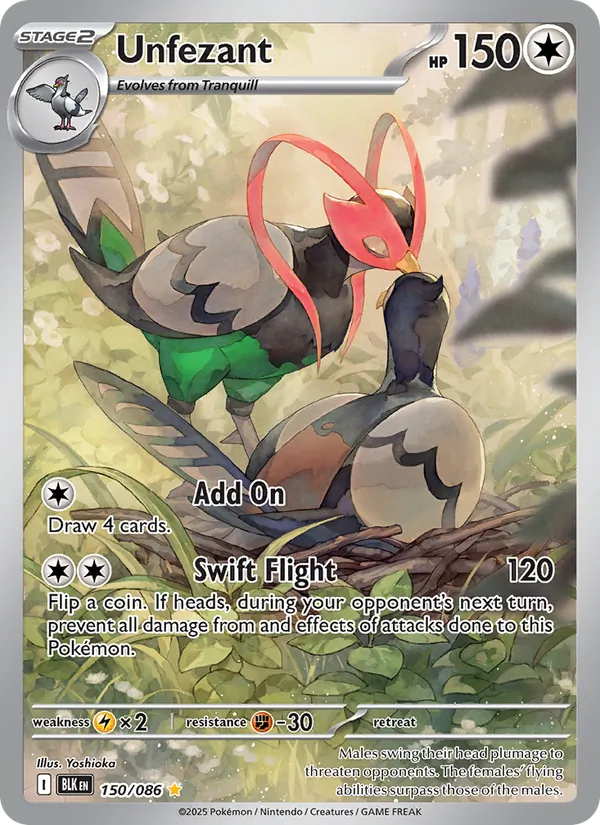 Unfezant - Black Bolt Pokemon Card