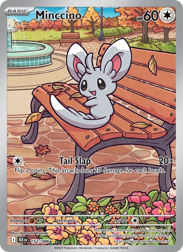 Minccino - Black Bolt Pokemon Card