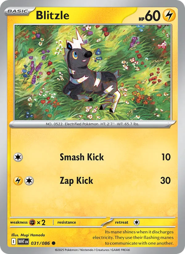 Blitzle - White Flare Pokemon Card