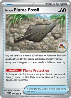Antique Plume Fossil - White Flare