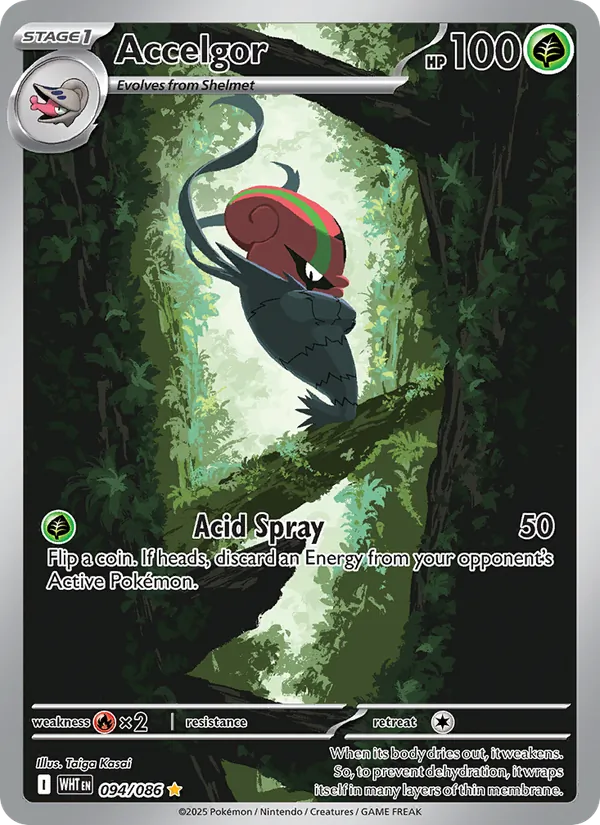Accelgor - White Flare Pokemon Card