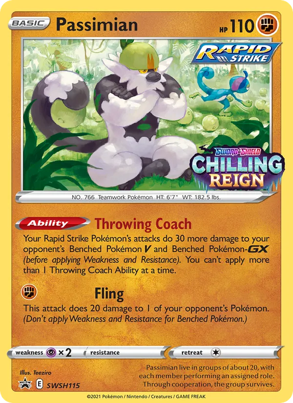 Passimian - SWSH Black Star Promos Pokemon Card