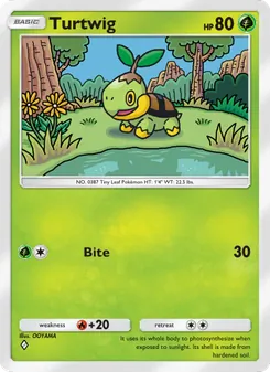 Turtwig - Space-Time Smackdown