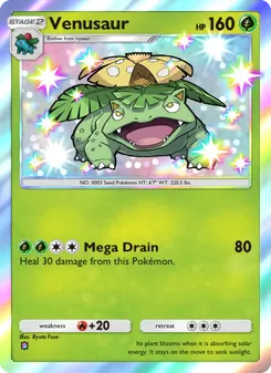 Venusaur - Celestial Guardians