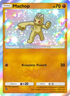 Machop - Celestial Guardians