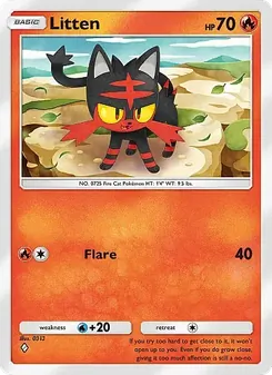 Litten - Eevee Grove