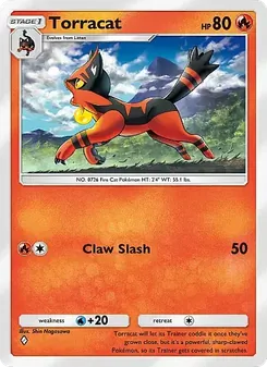 Torracat - Eevee Grove