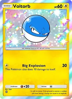 Voltorb - Eevee Grove