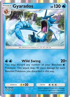 Gyarados - Wisdom of Sea and Sky