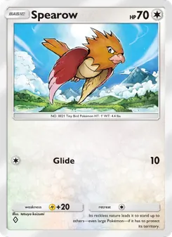 Spearow - Wisdom of Sea and Sky
