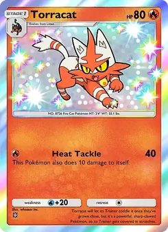 Torracat - Mega Rising