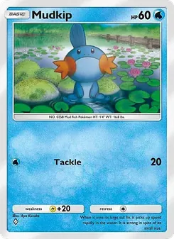 Mudkip - Fantastical Parade