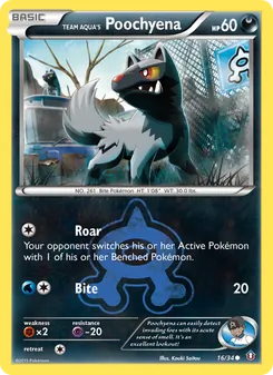 Team Aqua's Poochyena - Double Crisis