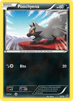 Poochyena - Kalos Starter Set