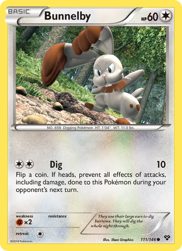 Bunnelby - XY Pokemon Card
