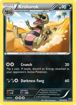 Krokorok - XY