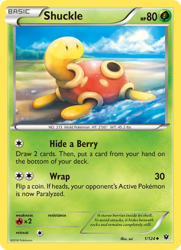 Shuckle - Fates Collide Pokemon Card