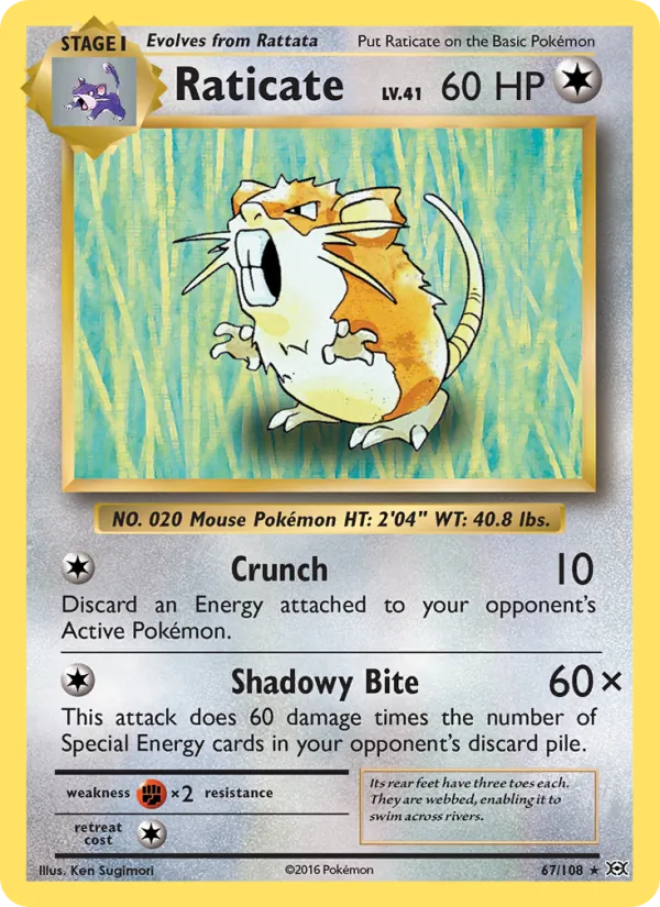 Raticate - Evolutions Pokemon Card