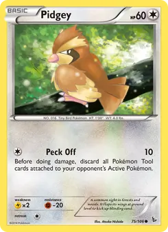 Pidgey - Flashfire