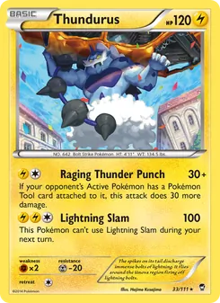 Thundurus - Furious Fists