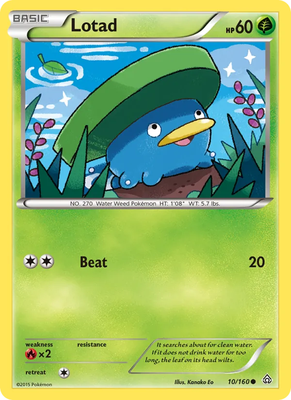 Lotad - Primal Clash Pokemon Card