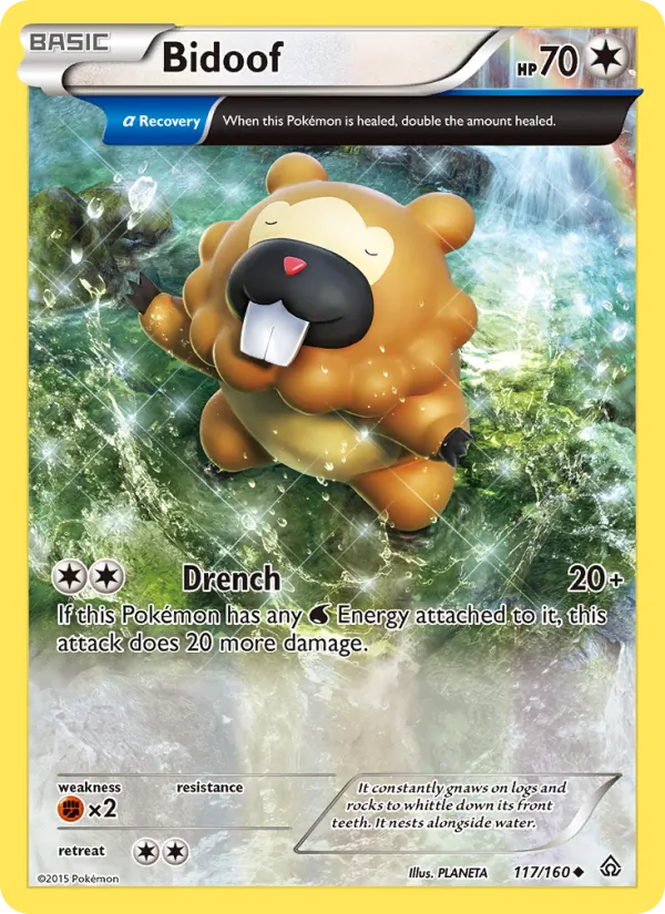 Bidoof - Primal Clash Pokemon Card