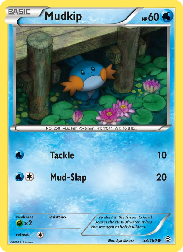 Mudkip - Primal Clash Pokemon Card