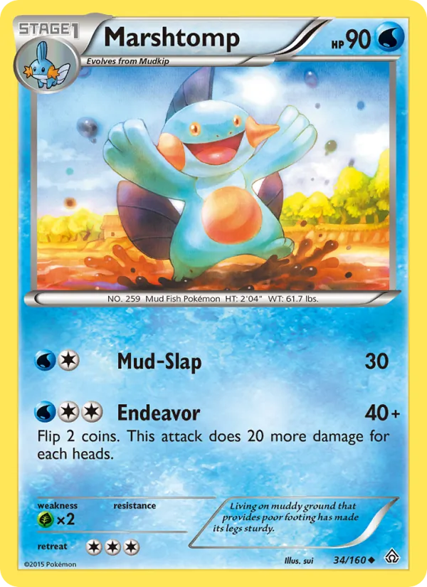 Marshtomp - Primal Clash Pokemon Card