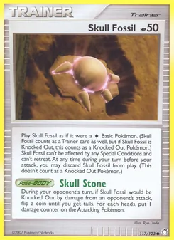 Skull Fossil - Mysterious Treasures