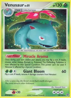 Venusaur - Secret Wonders