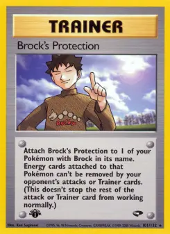 Brock's Protection - Gym Challenge