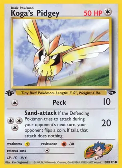 Koga's Pidgey - Gym Challenge