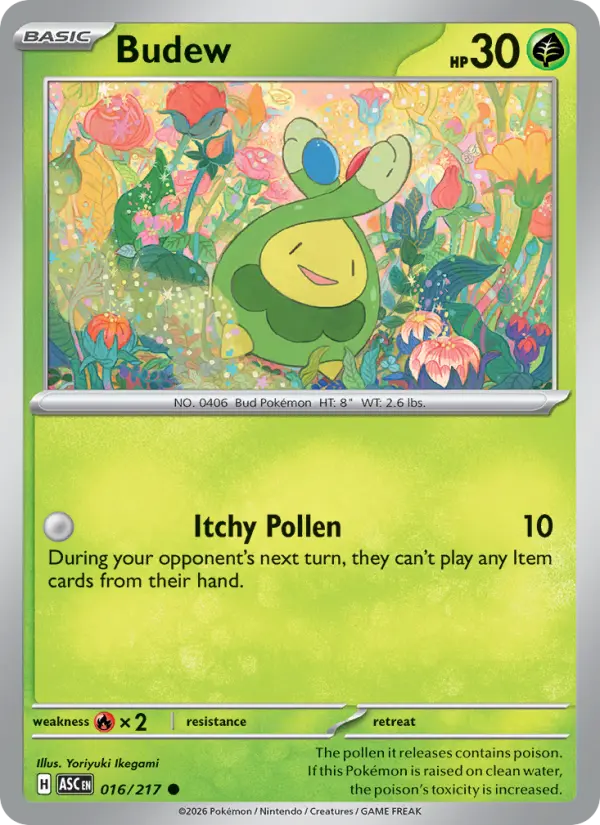Budew - Ascended Heroes Pokemon Card