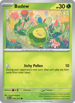 Budew - Ascended Heroes