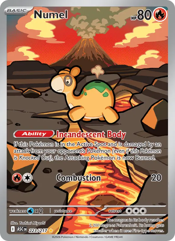 Numel - Ascended Heroes Pokemon Card