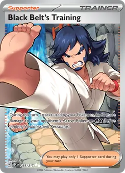 Black Belt's Training - Ascended Heroes