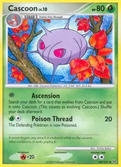 Cascoon - Platinum