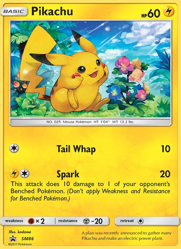 Pikachu - SM Black Star Promos Pokemon Card
