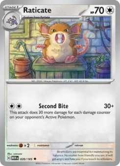 Raticate - 151