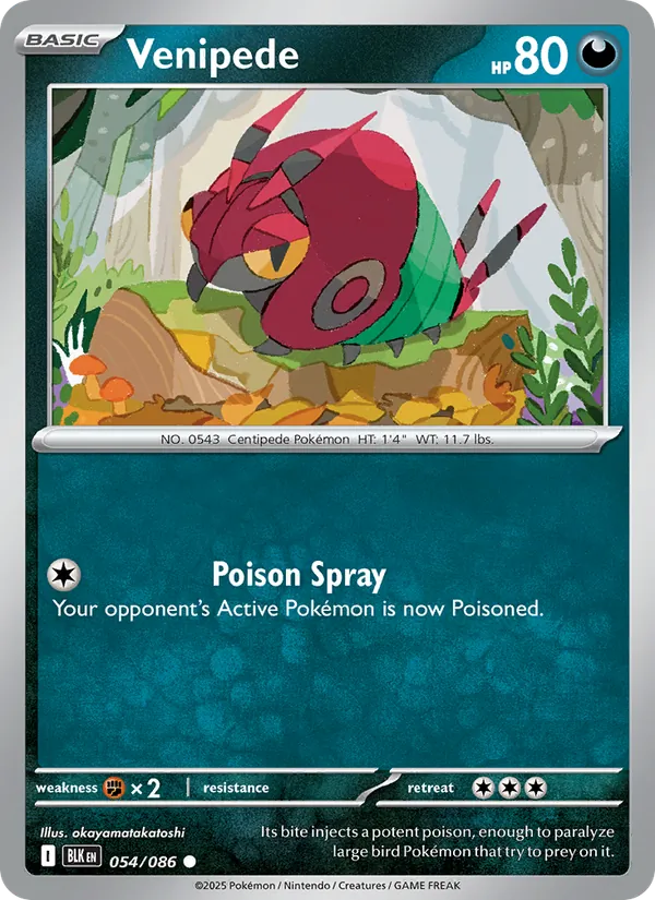 Venipede - Black Bolt Pokemon Card