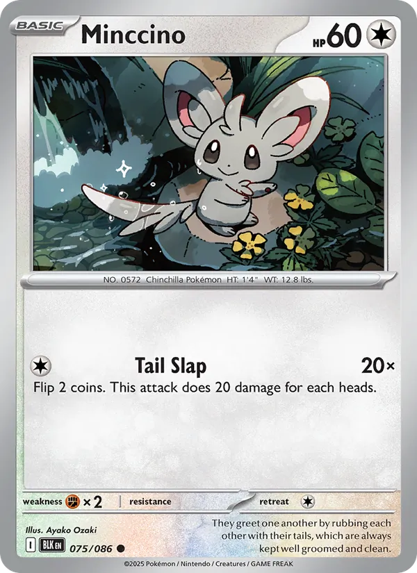 Minccino - Black Bolt Pokemon Card